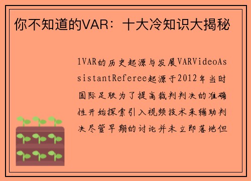 你不知道的VAR：十大冷知识大揭秘